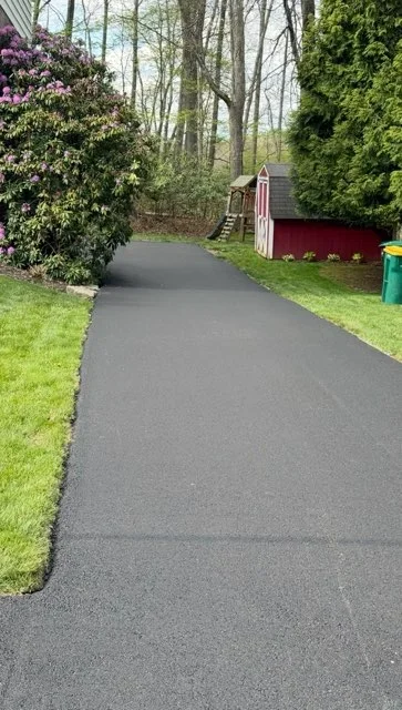Newly paved dark asphalt driveway with clean edges, bordered by green lawn and flowering bushes